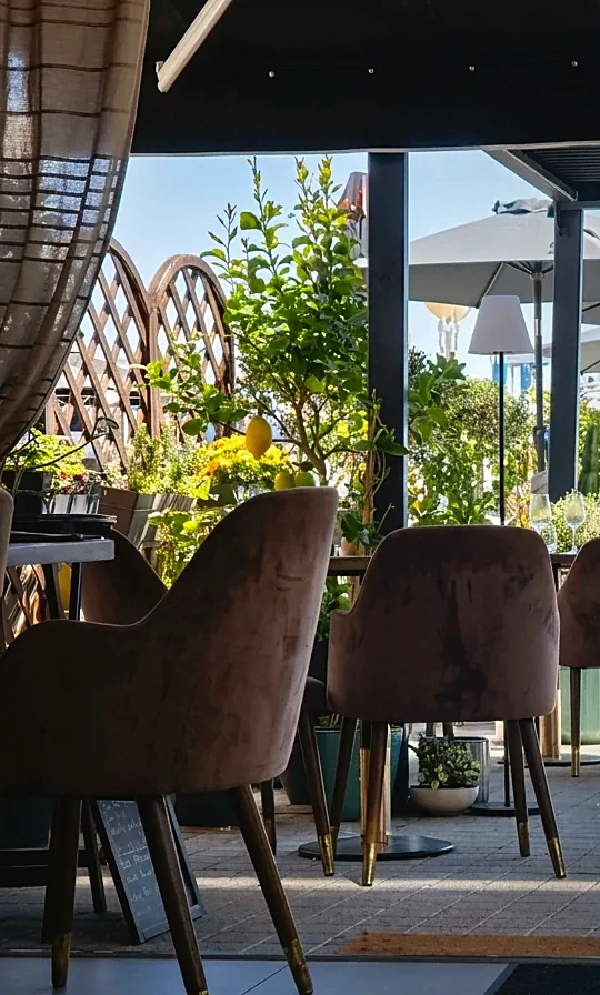 La terrasse de La Table de Lalia en pleine lumière, sous le citronnier